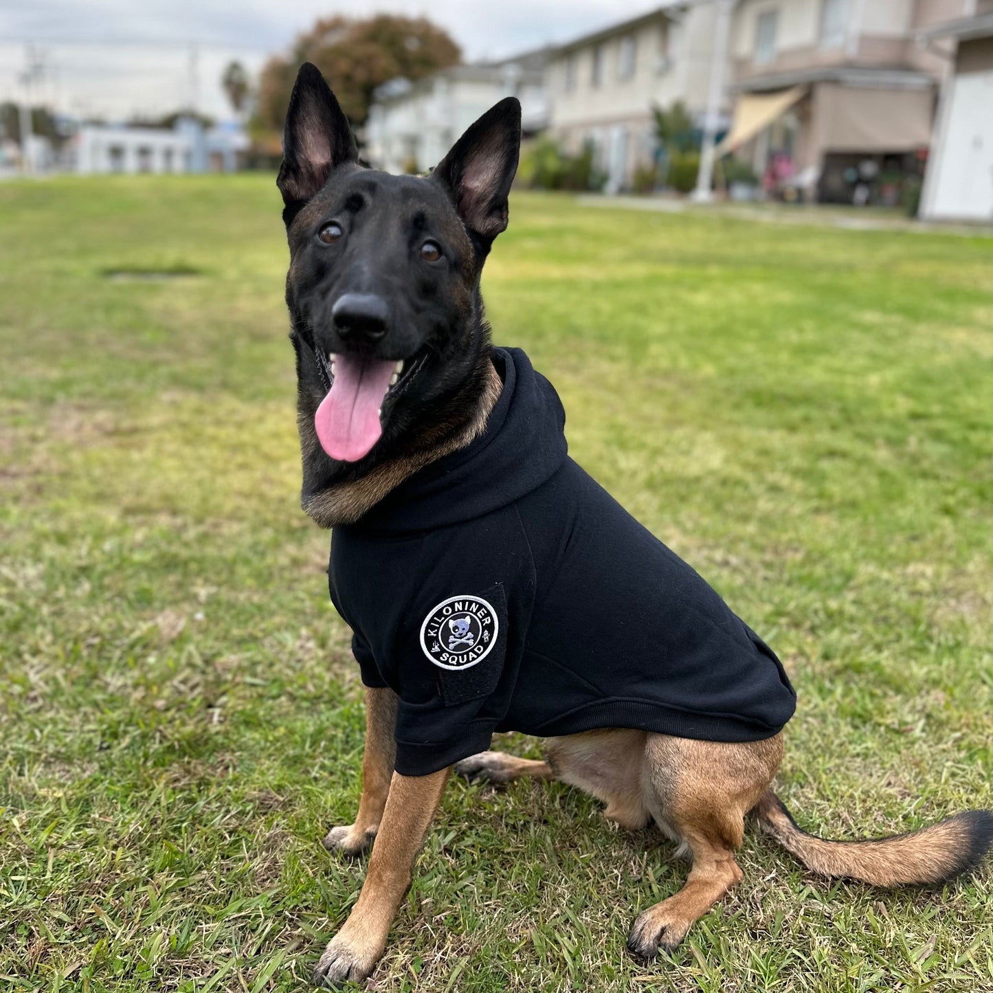 Big Dog Tactical Pull-Over Hoodie