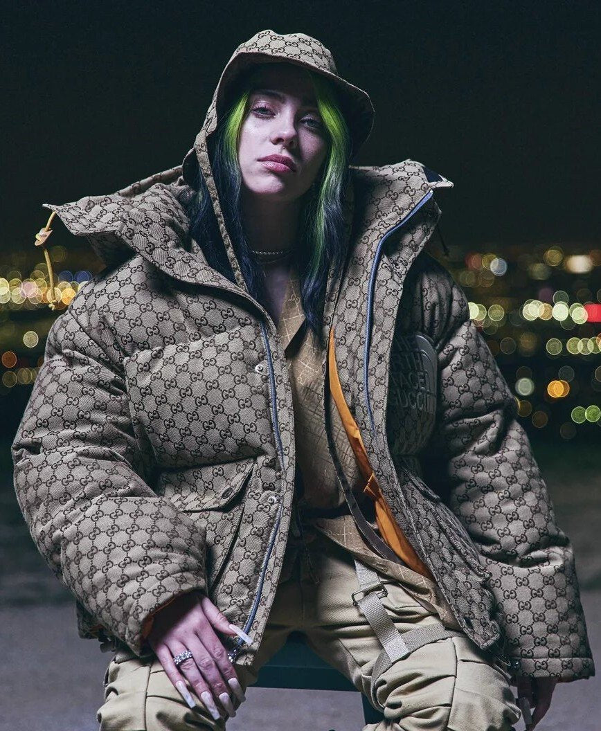 Billie Eilish The North Face Puffer Jacket