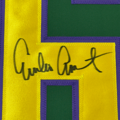 Framed Autographed/Signed Emilio Estevez Gordon Bombay 35x39 The Mighty Ducks Green Hockey Jersey PSA/DNA COA