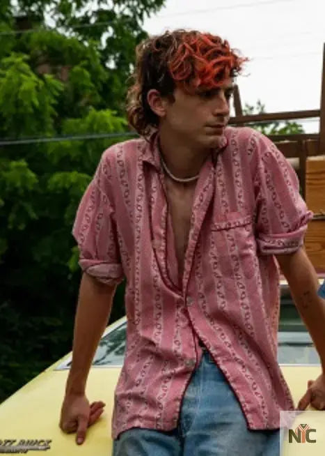 Bones And All Timothée Chalamet Shirt