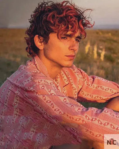 Bones And All Timothée Chalamet Shirt