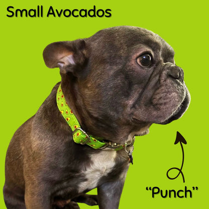 Boop Town Durable Soft Cotton Dog Collar With Nylon Core Quick Release Metal Buckle Adjustable for Girls Boys Small Medium Large Comfortable Pet Products Reduces Hair Matting Gold Tone Zinc Alloy Hardware - Triathlete Store