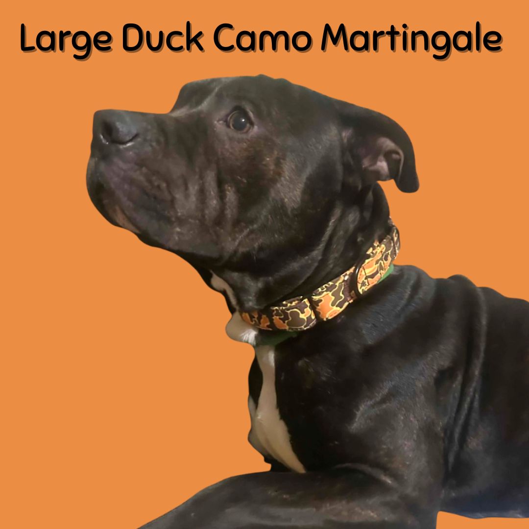 Boop Town Durable Soft Cotton Dog Collar With Nylon Core Quick Release Metal Buckle Adjustable for Girls Boys Small Medium Large Comfortable Pet Products Reduces Hair Matting Gold Tone Zinc Alloy Hardware - Triathlete Store