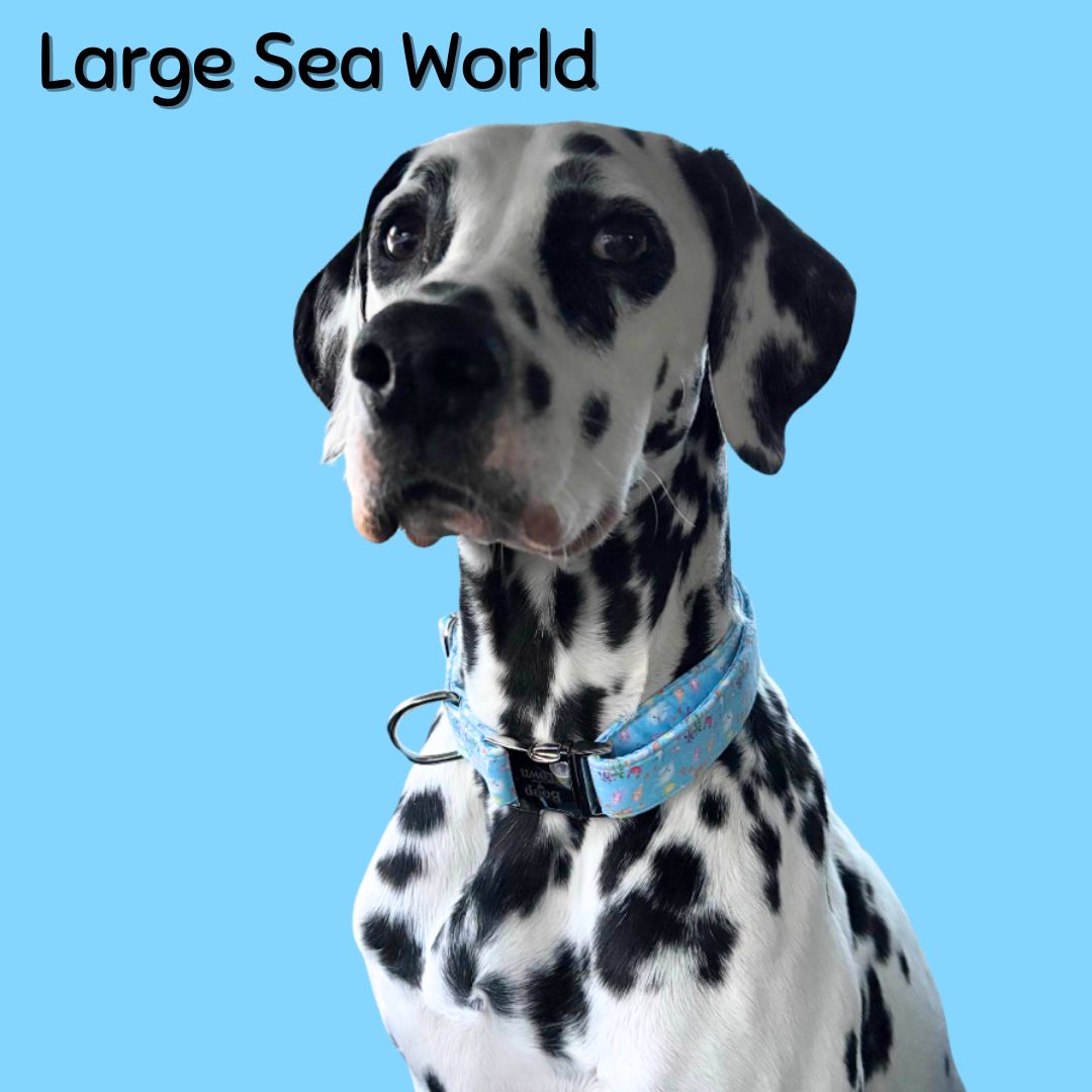 Boop Town Durable Soft Cotton Dog Collar With Nylon Core Quick Release Metal Buckle Adjustable for Girls Boys Small Medium Large Comfortable Pet Products Reduces Hair Matting Gold Tone Zinc Alloy Hardware - Triathlete Store