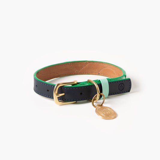 Brave Collar