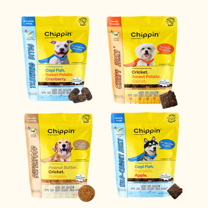 Fish & Cricket Best Seller Bundle