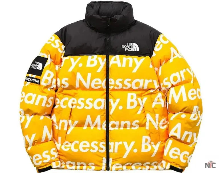 By Any Means Necessary Nuptse Jacket