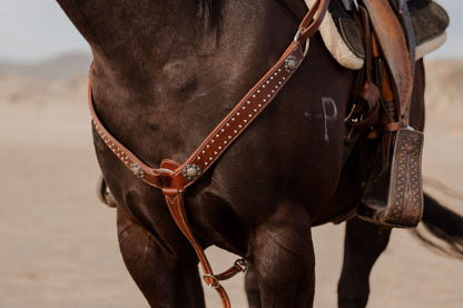California Dotted Chocolate Harness Breast Collar