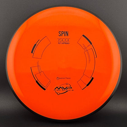 Neutron Spin