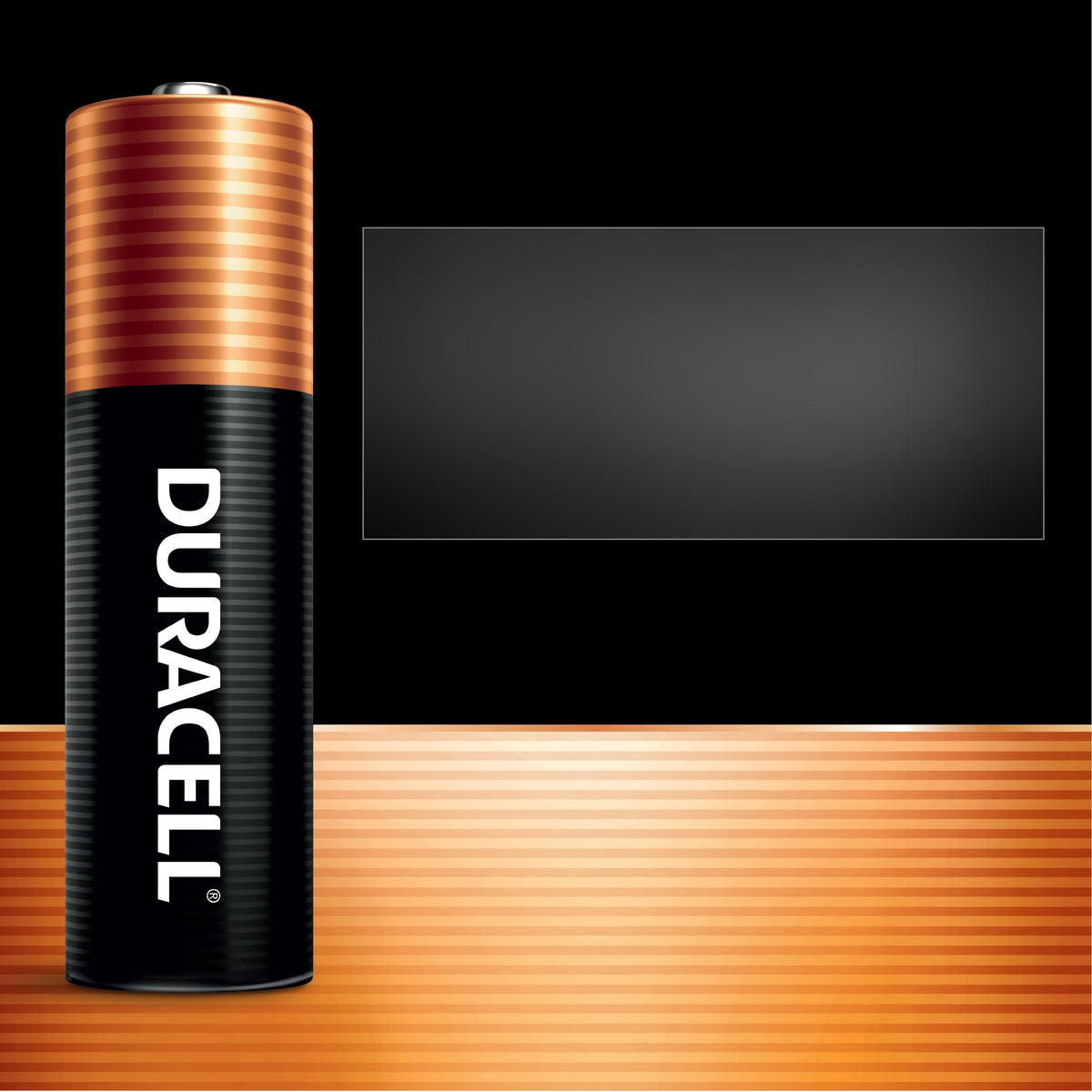 Duracell Coppertop AA Batteries with Power Boost, 16 Count