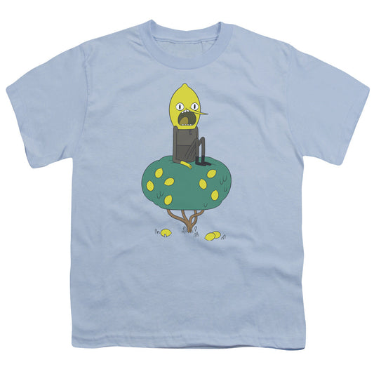 Adventure Time Lemongrab Kids Youth T Shirt Light Blue Officially Licensed