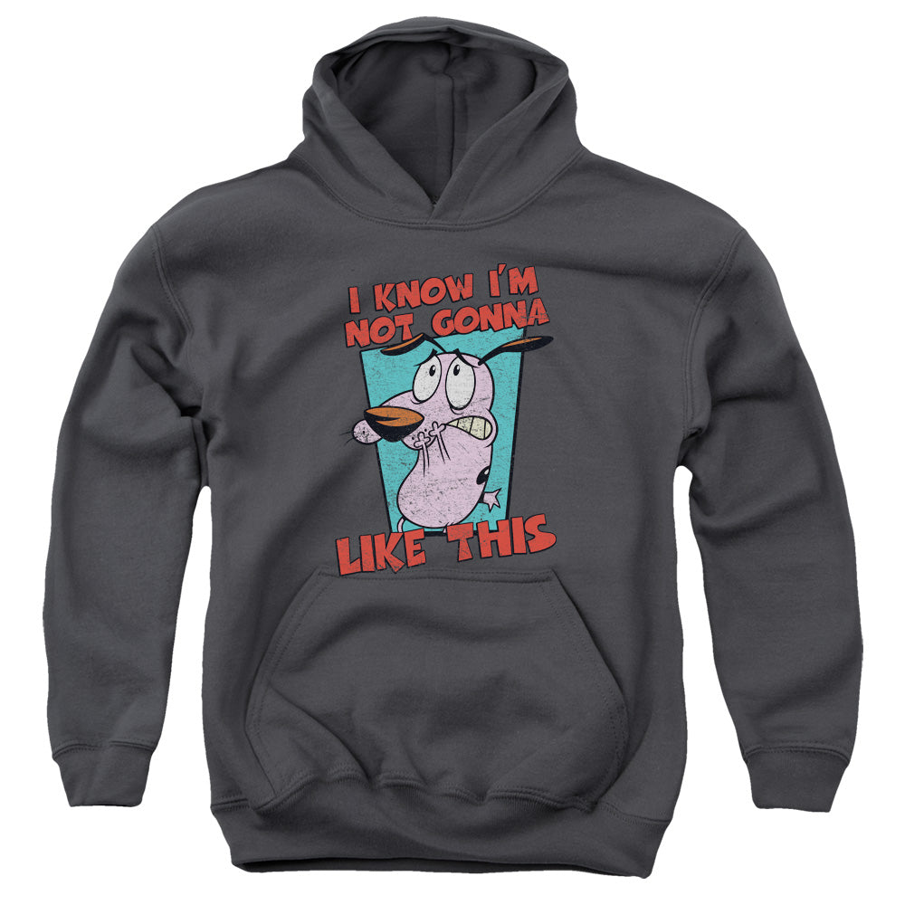 Courage the Cowardly Dog Not Gonna Like Kids Youth Hoodie Charcoal Officially Licensed
