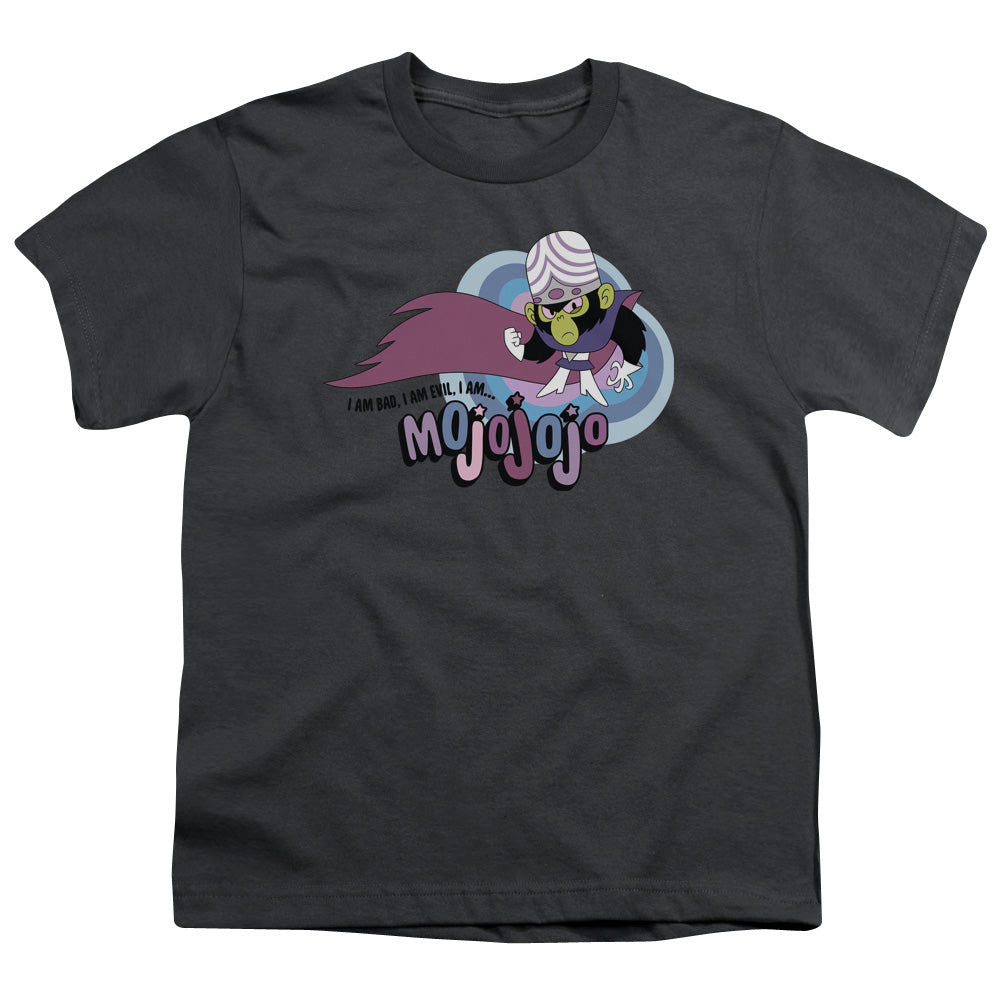 Powerpuff Girls I Am Bad I Am Evil Kids Youth T Shirt Charcoal Officially Licensed