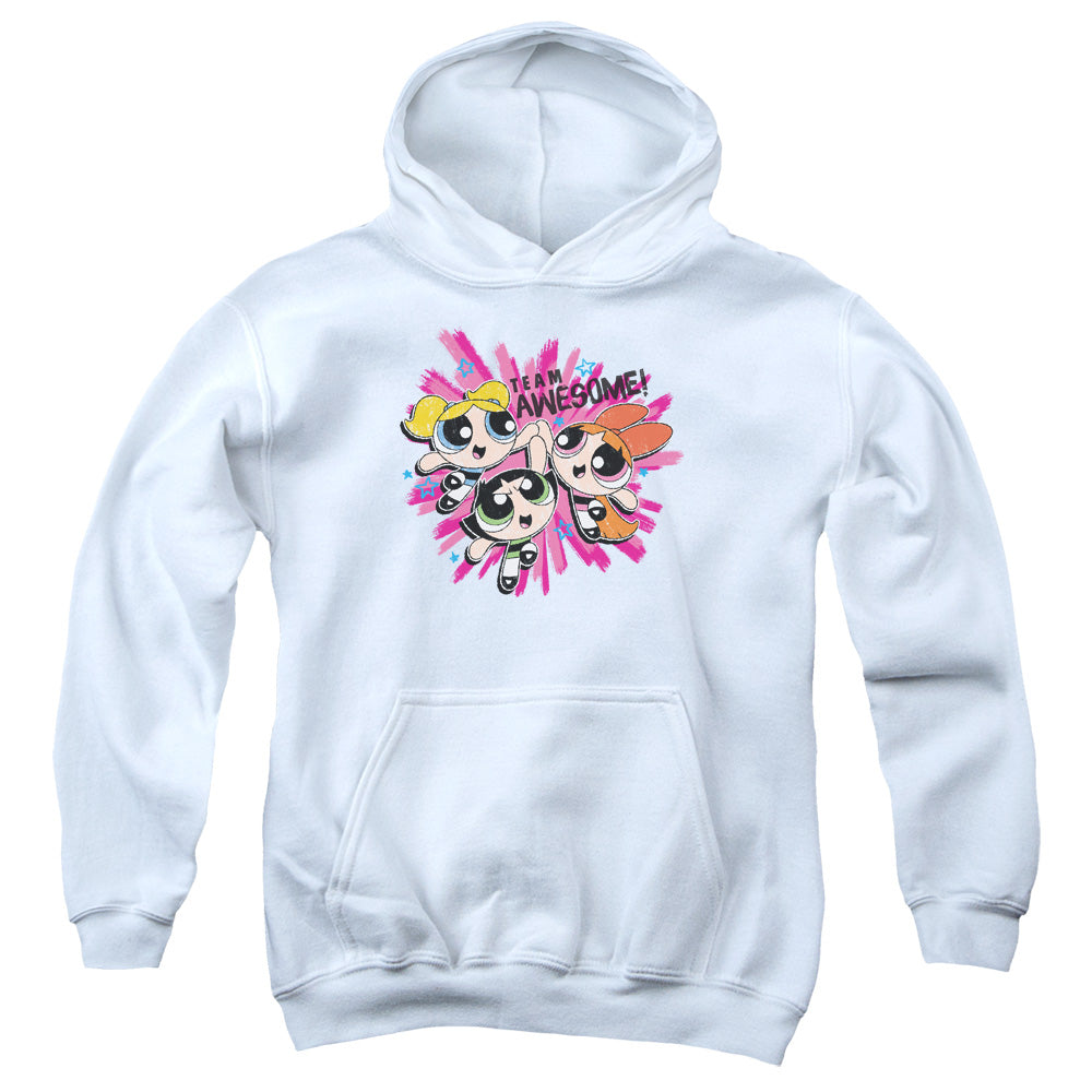 Powerpuff Girls Team Awesome Kids Youth Hoodie White Officially Licensed