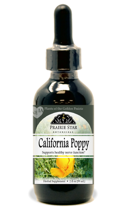 California Poppy