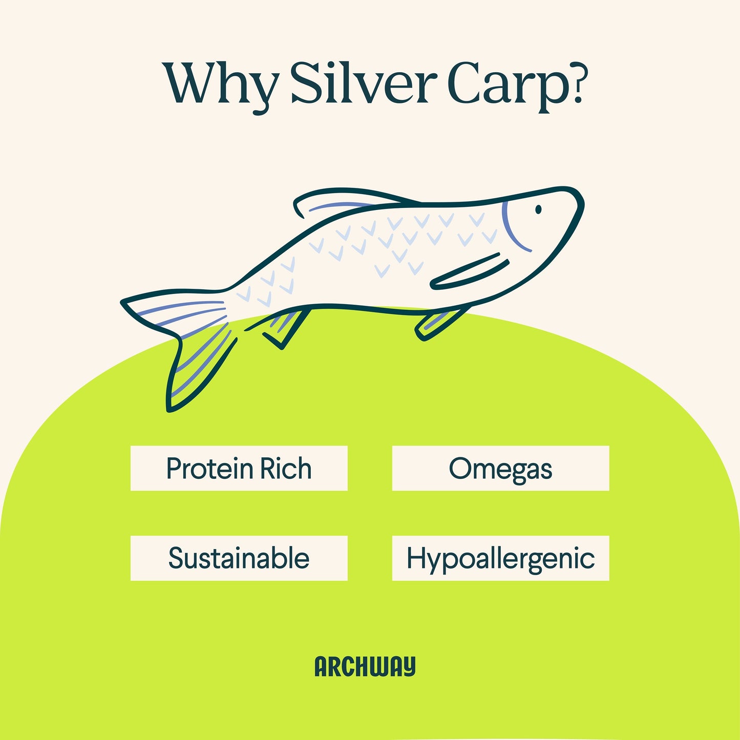 Silver Carp For Cats