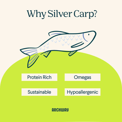 Silver Carp For Cats