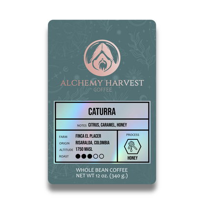 Caturra - Honey
