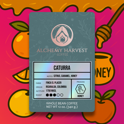 Caturra - Honey