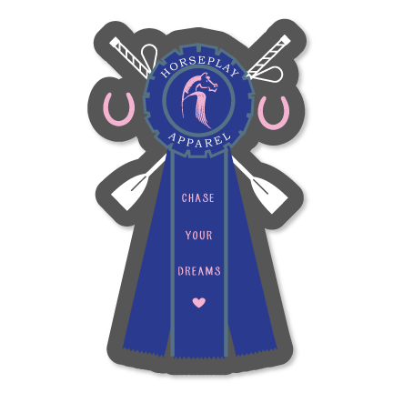 Chase Your Dreams Sticker