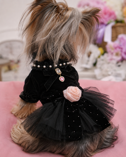 Dog dress black velvet rose