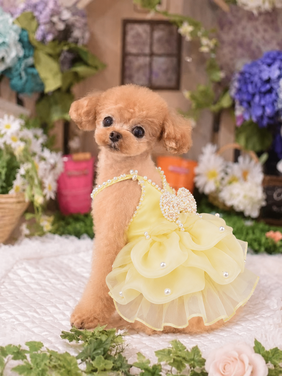 Handmade Elegant Yellow Pearl Princess Dress