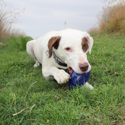Chewie Squeak Rubber Football