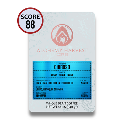 Chiroso - Washed