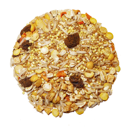 Cinnaspice Delight - Triathlete Store