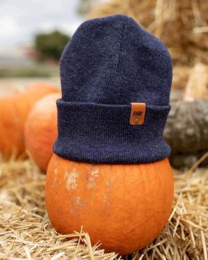 Classic Cuffed Beanie, Denim Blue