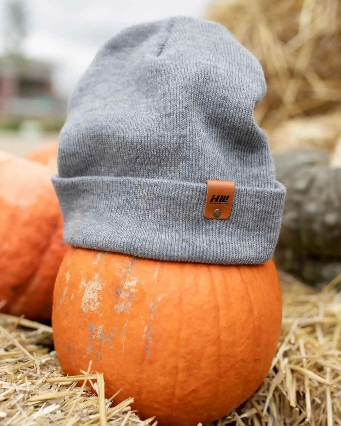 Classic Cuffed Beanie, Koala Gray