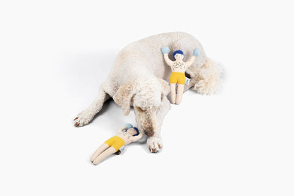 Champ Rocky Nose Work Dog Toy / Enrichment Toy