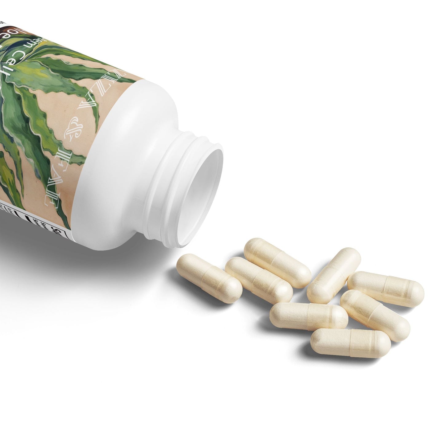 Aloe Macroclada Stem Cell Activation Capsules and Powder 2