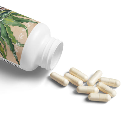 Aloe Macroclada Stem Cell Activation Capsules and Powder