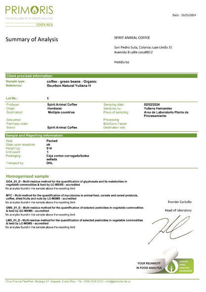 Honduran Parainema Coffee - 3-Pack - 2lb - Triathlete Store