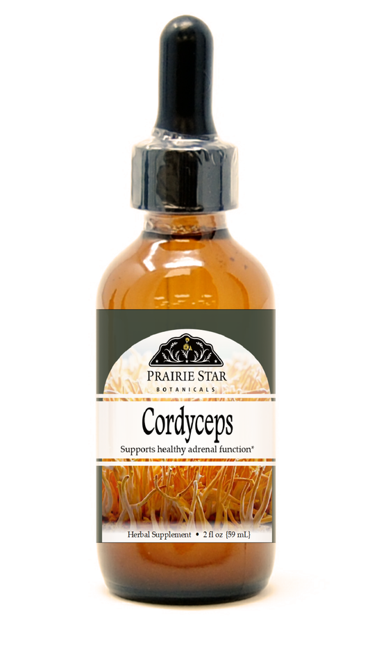 Cordyceps Mushroom