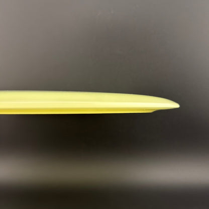 Proto Glow Champion Tern