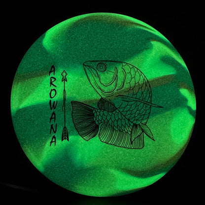 glO-G Arowana