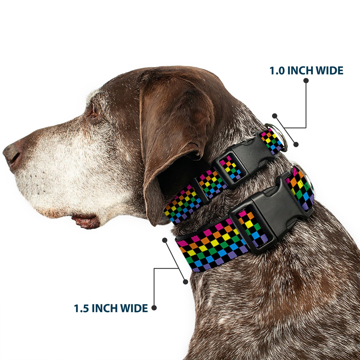 Plastic Clip Collar - Checker Black/Neon Rainbow