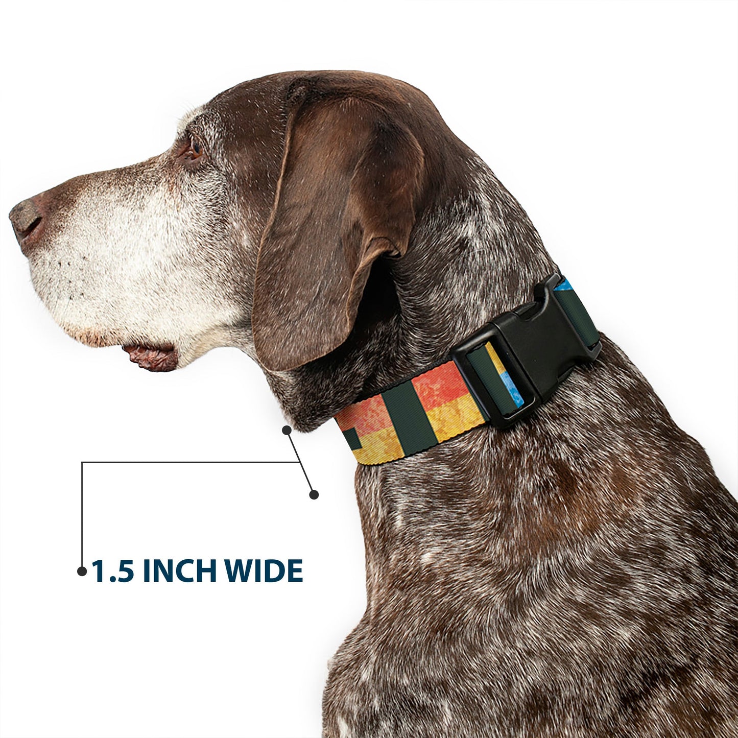 Plastic Clip Collar - Geometric8 Charcoal/Orange/Gold/Blue