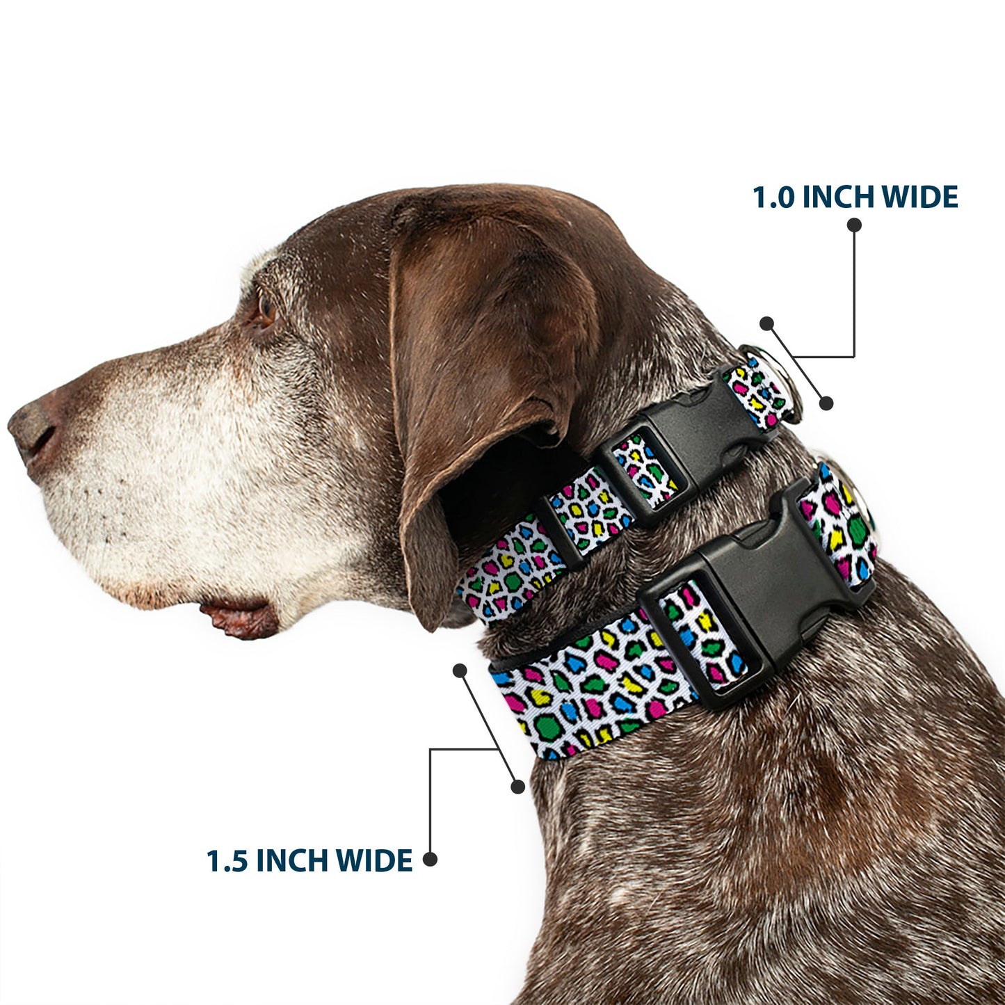 Plastic Clip Collar - Leopard White/Multi Color