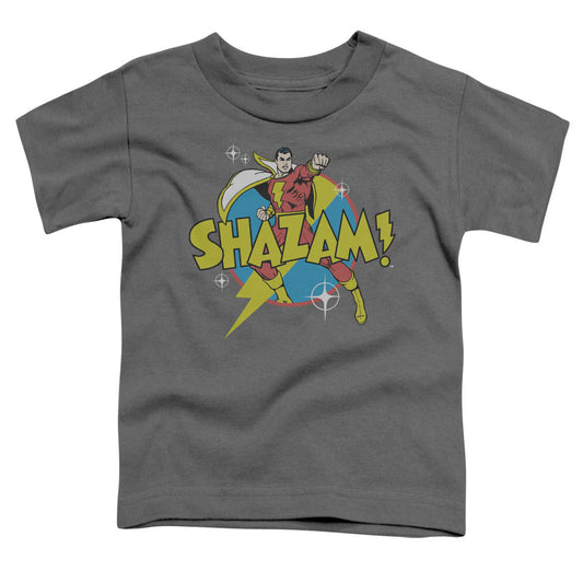 DC Comics Power Bolt Toddler Kids Youth T Shirt Charcoal Officially Licensed