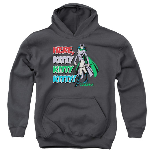 DC Comics Here Kitty Kids Youth Hoodie Charcoal Officially Licensed