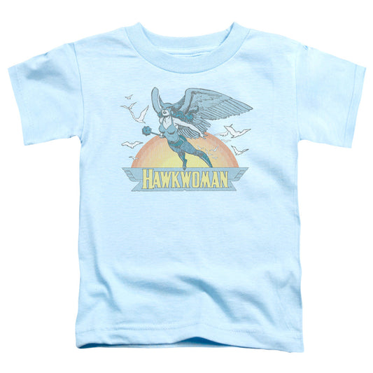 DC Comics Hawkwoman Toddler Kids Youth T Shirt Light Blue Officially Licensed