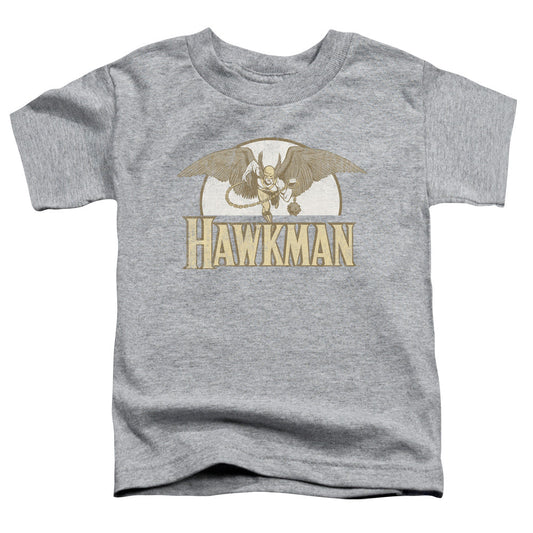DC Comics Fly by Toddler Kids Youth T Shirt Athletic Heather Officially Licensed
