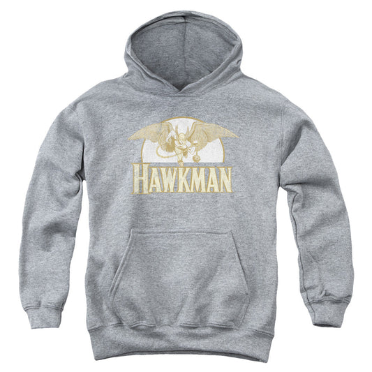 DC Comics Fly by Kids Youth Hoodie Heather Officially Licensed