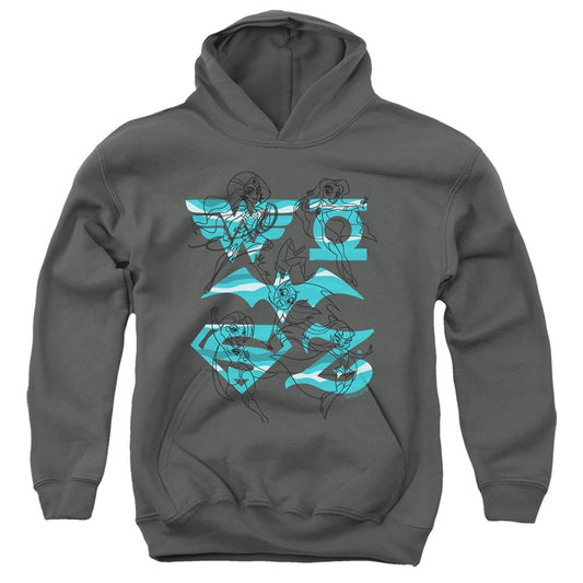 Dc Superhero Girls Line Art Group Kids Youth Hoodie Charcoal Officially Licensed