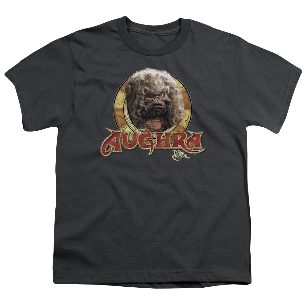 Dark Crystal Aughra Circle Kids Youth T Shirt Charcoal Officially Licensed