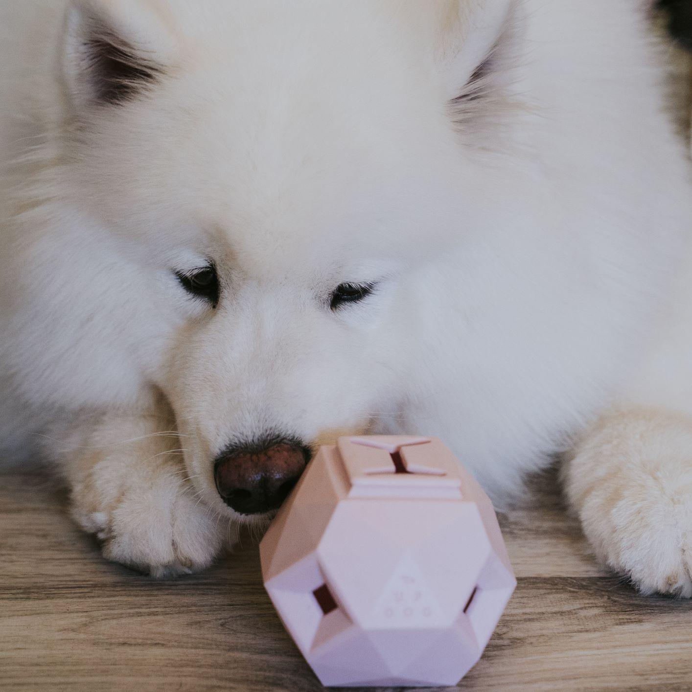The Odin Treat Dispensing Toy For Dogs - Triathlete Store