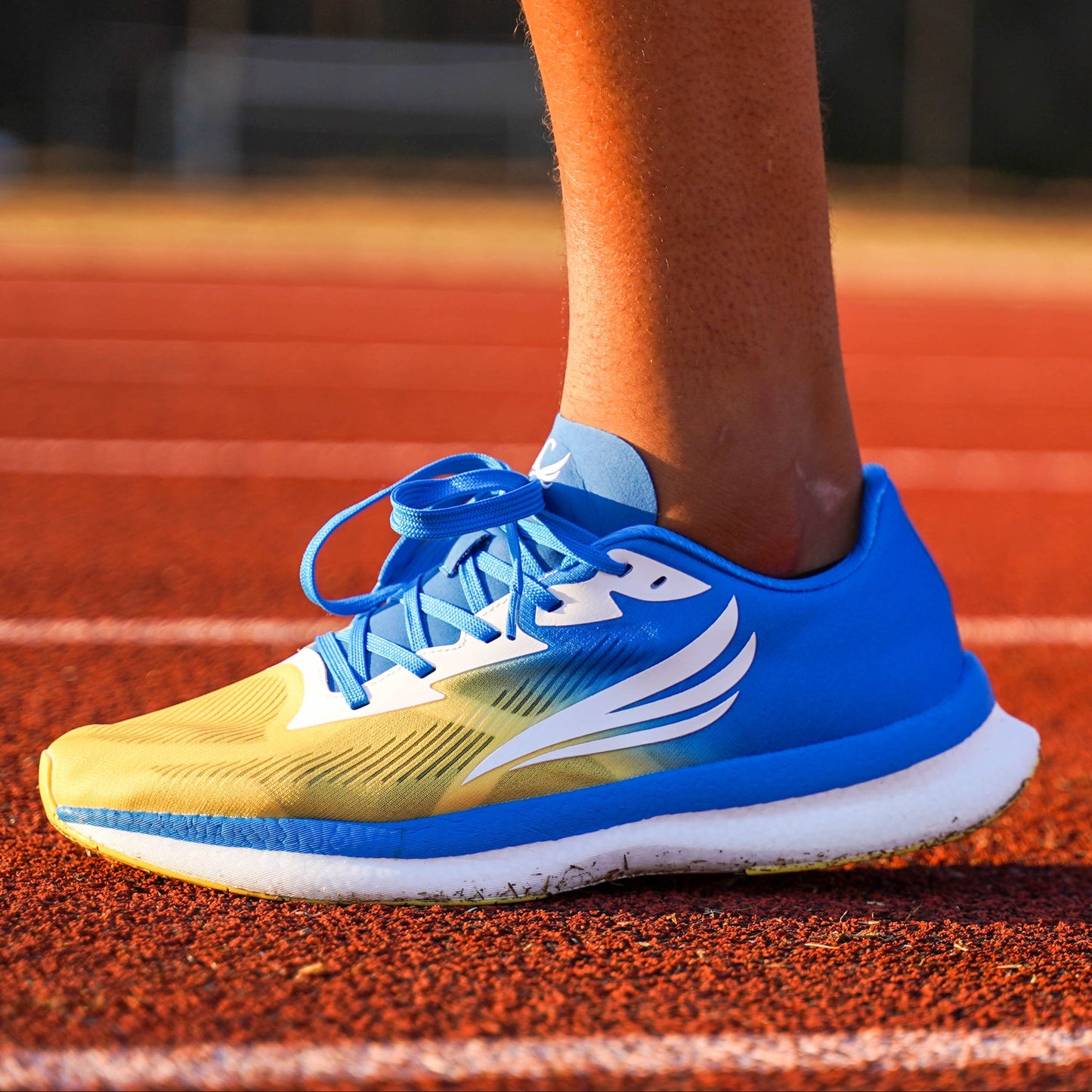 EQUUS Blue Men Running Shoe